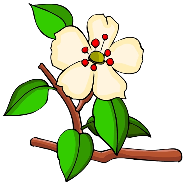 花卉古典插畫