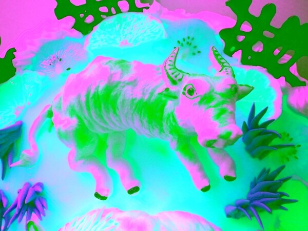 蛋糕水果裱花