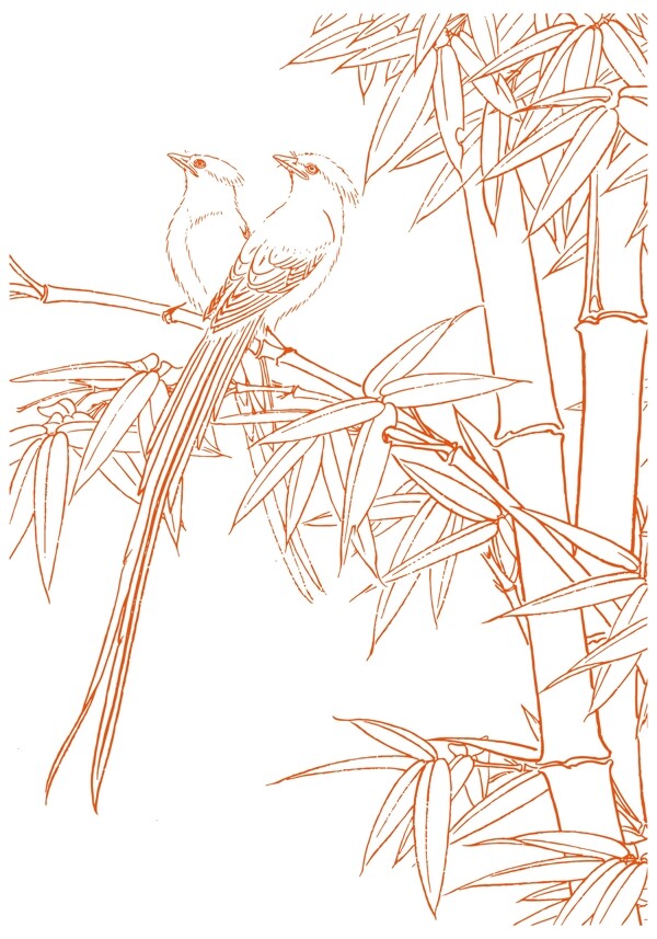 绶带鸟竹子简笔画