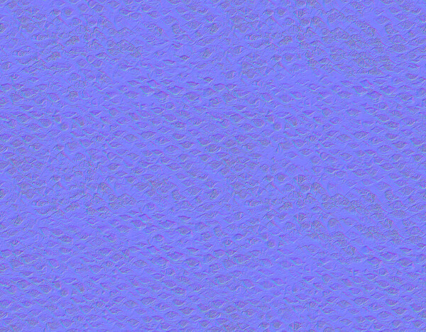 027Trachycarpus棕櫚