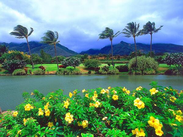 夏威夷海滨风光图片