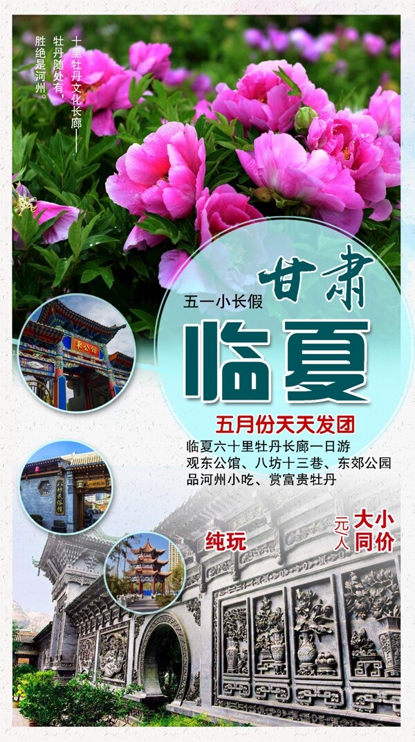 甘肃临夏牡丹文化长廊旅游海报