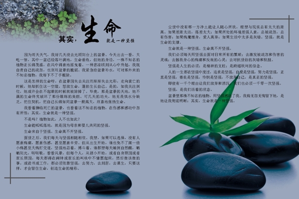 宣傳欄文章