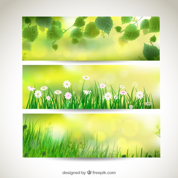 綠色植物banner
