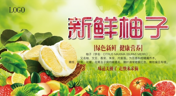 新鮮水果