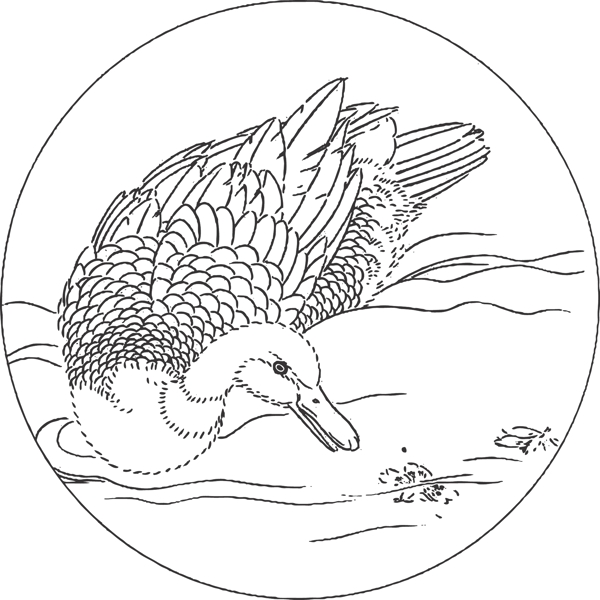 鵝