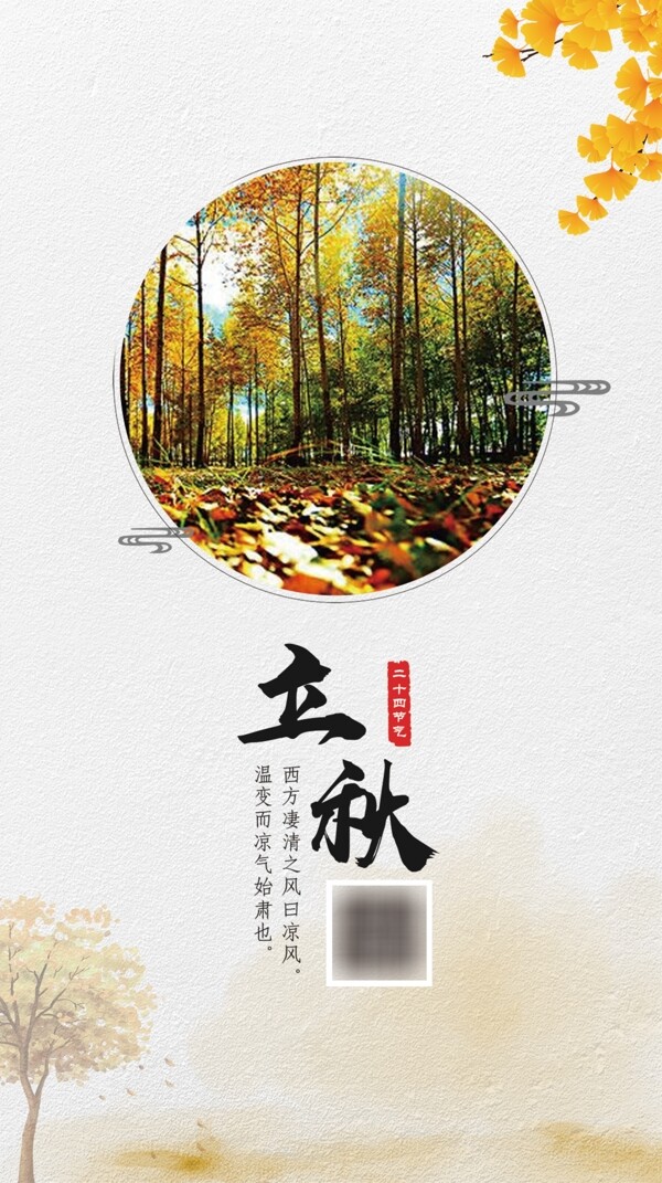 清新立秋節(jié)氣海報