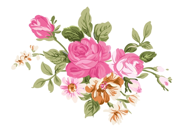 玫瑰花牡丹花圖片
