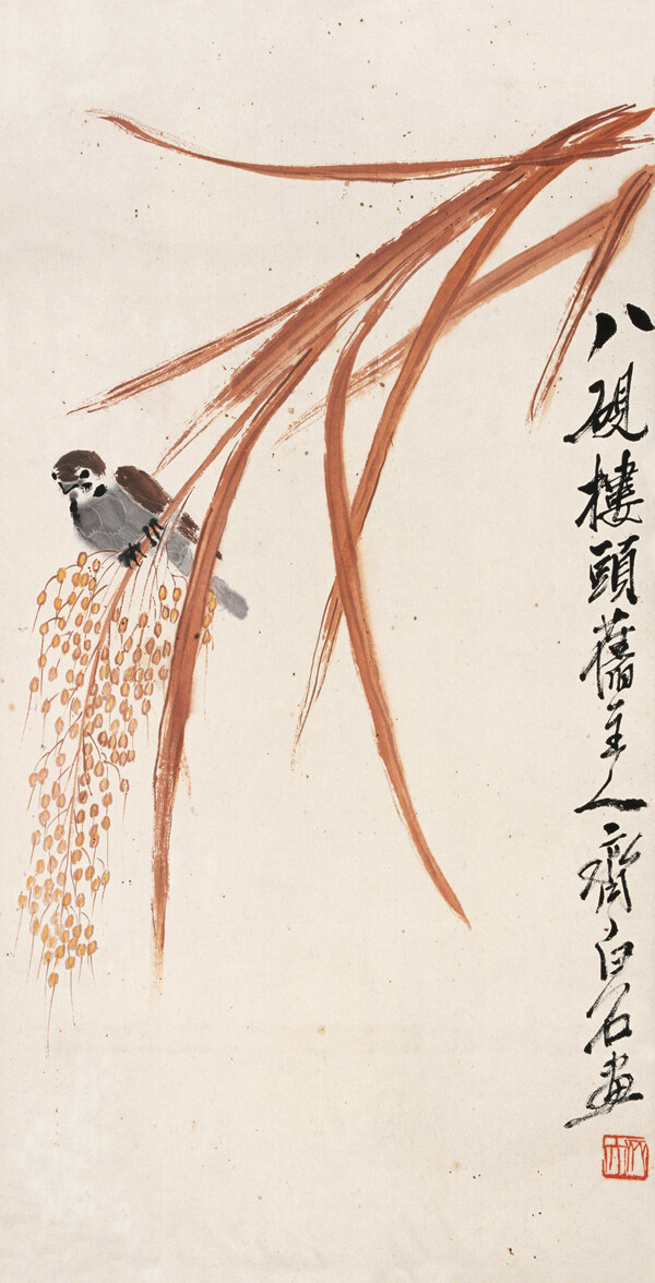 稻穗小鳥圖片