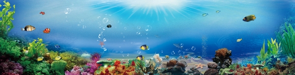 海底世界