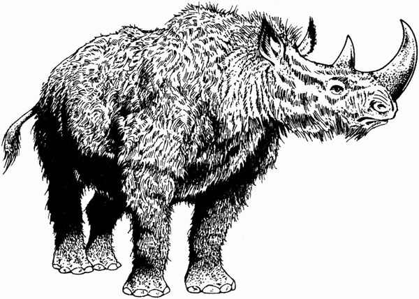 遠(yuǎn)古時(shí)代的動(dòng)物恐龍手繪畫動(dòng)物素描