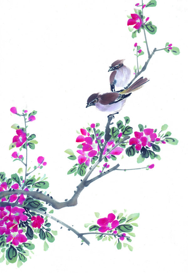 國畫樹枝與鳥圖片
