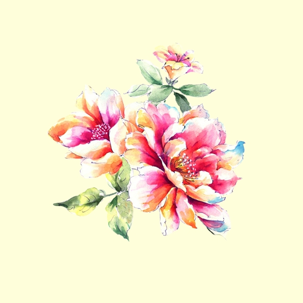 位圖psd植物花朵免費(fèi)素材