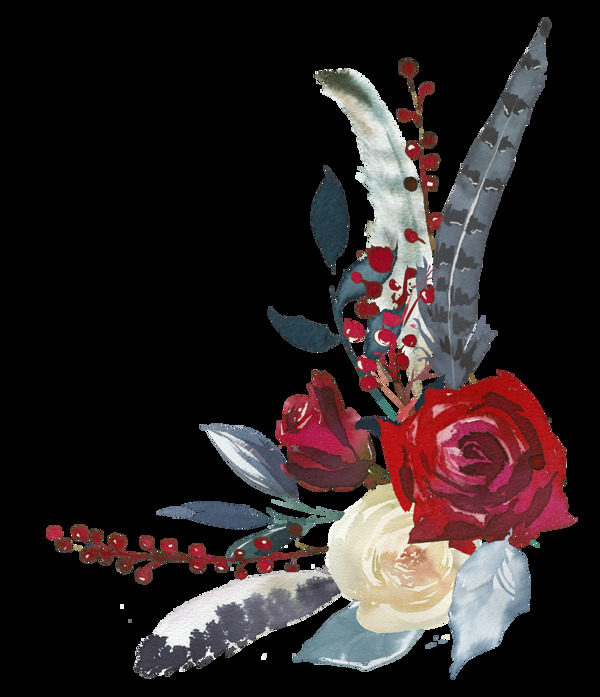 手绘红白玫瑰花卉PNG透明素材