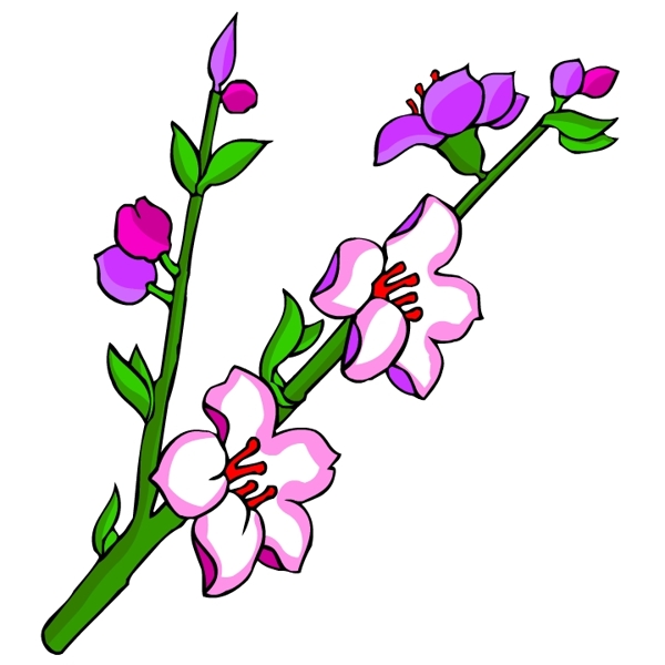 花卉古典插畫
