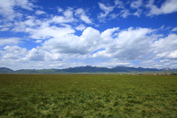 四川若爾蓋花湖風(fēng)景