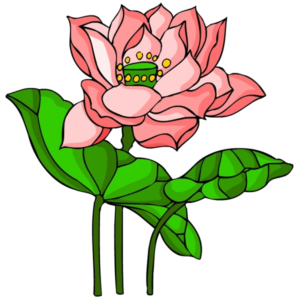 花卉古典插畫