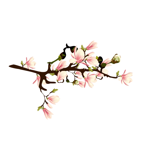 手繪寫實(shí)風(fēng)裝飾春天桃花花卉