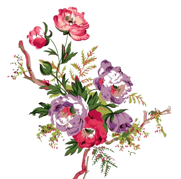 花朵PSD素材