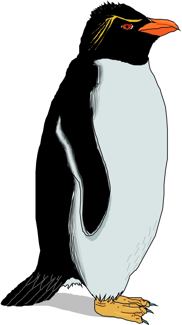 矢量逼真鳥類動物24