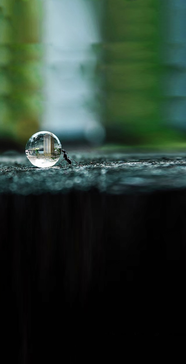 谷雨