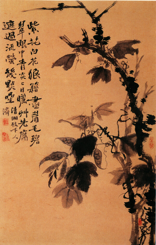 水墨花卉植物圖片