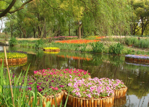 公園風(fēng)景