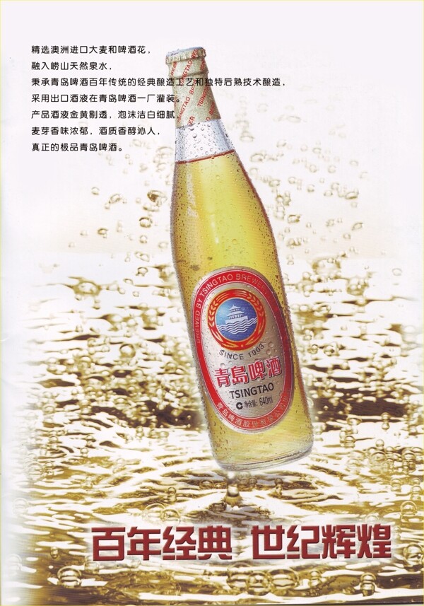 青島啤酒白金系列圖片