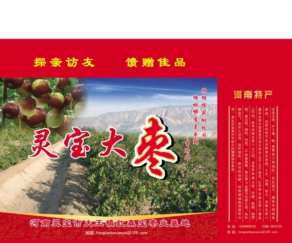 靈寶大棗圖片
