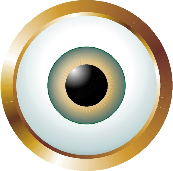 眼睛眼球眼珠矢量素材EPS格式0073