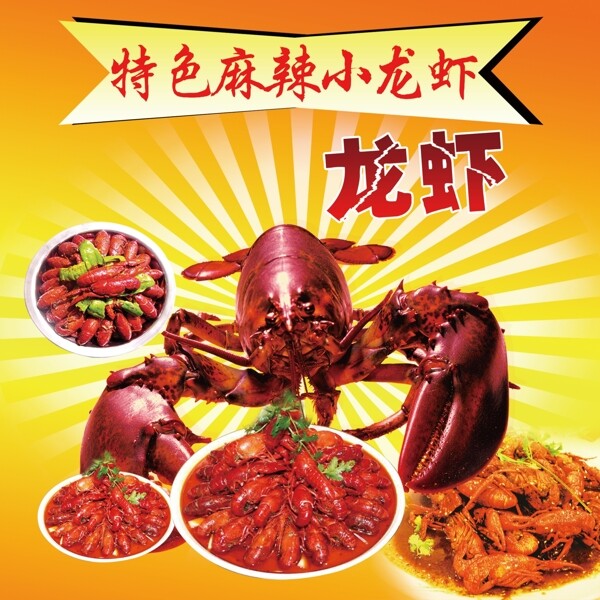 龍蝦圖片