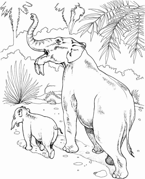 手繪動物畫動物素描