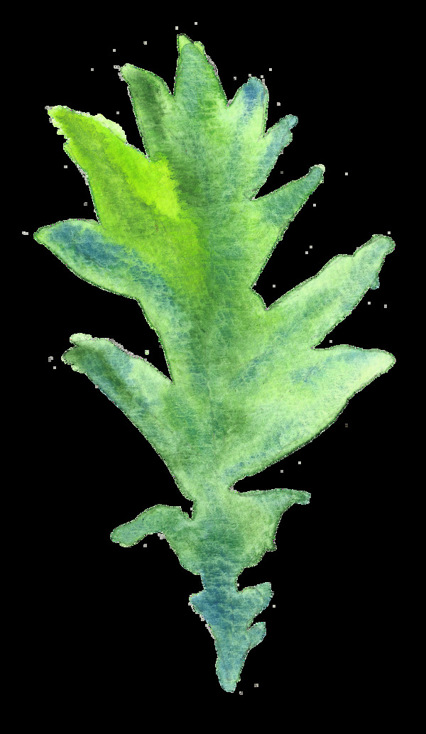 深綠海葉卡通水彩透明素材