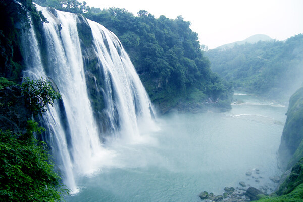 樹植物水風(fēng)景