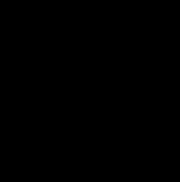 黑白簡約花環(huán)邊框素材