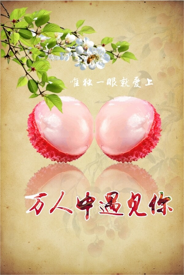 美食荔枝海報