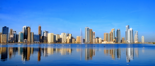 城市