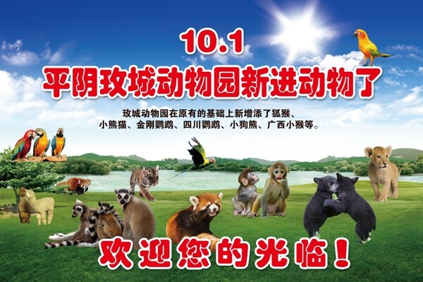 動(dòng)物園廣告牌