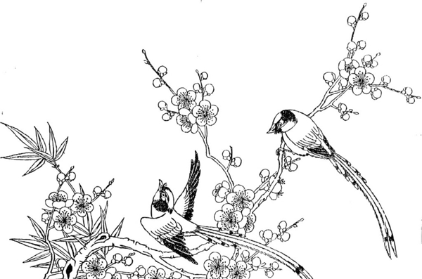 花鳥