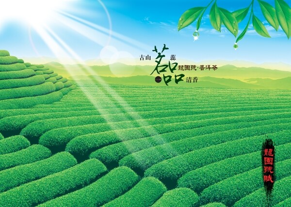 文化