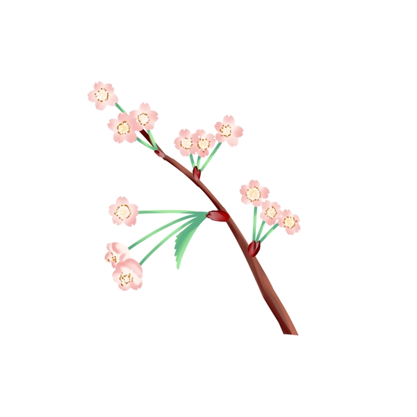 精美的樱花树枝插画
