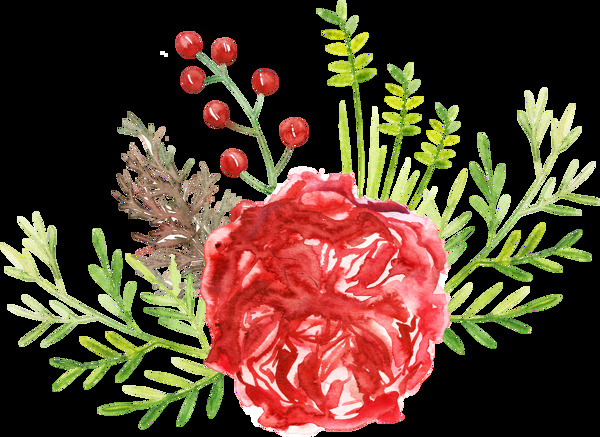 红火花蕊卡通透明素材