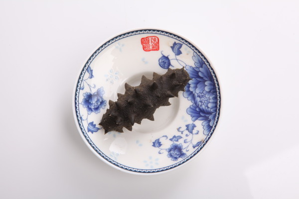 海參圖片