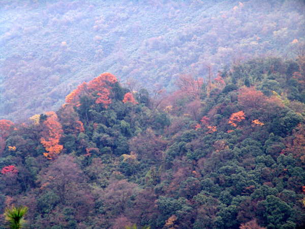 大山風(fēng)景圖圖片