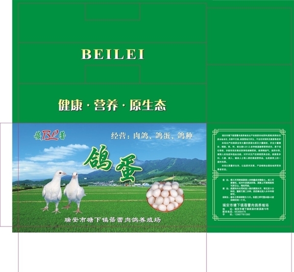 鴿蛋包裝圖片