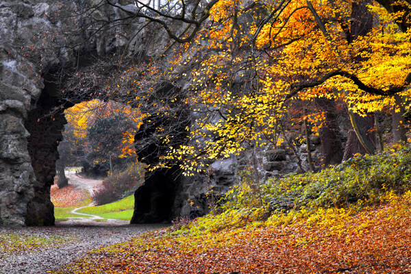 秋天石洞枫树林风景图片