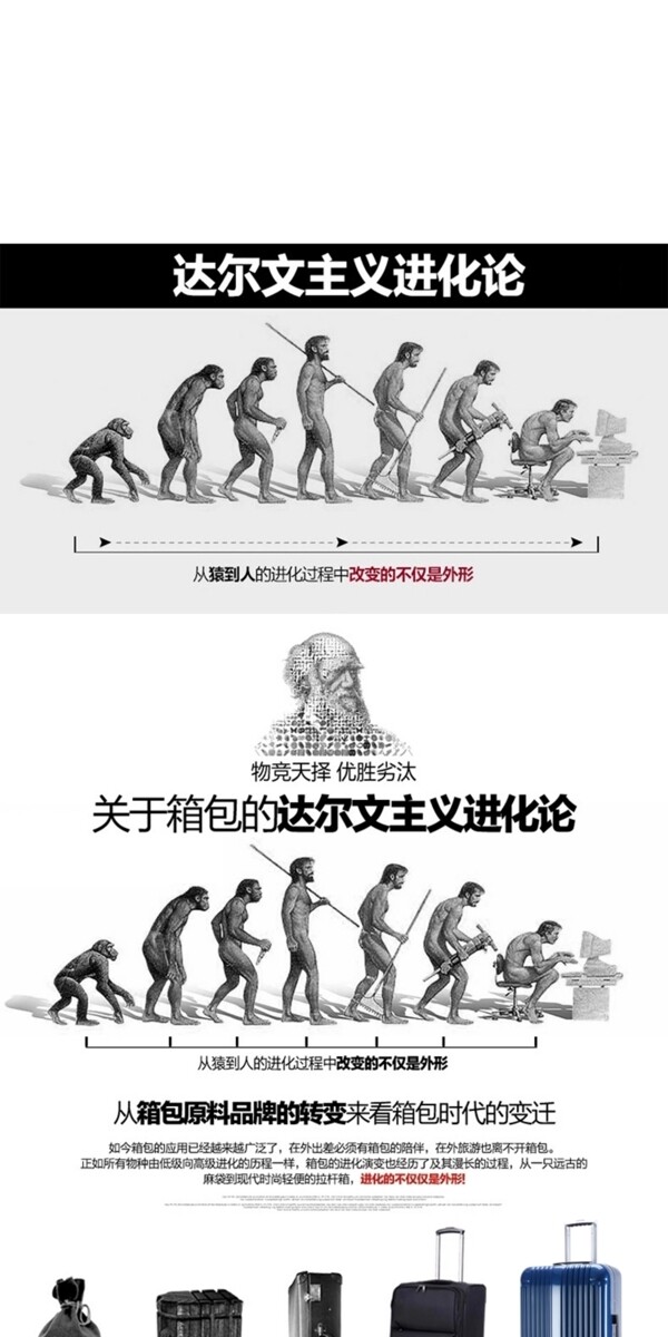 拉桿箱詳情