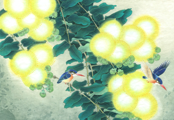 翠鳥(niǎo)合歡