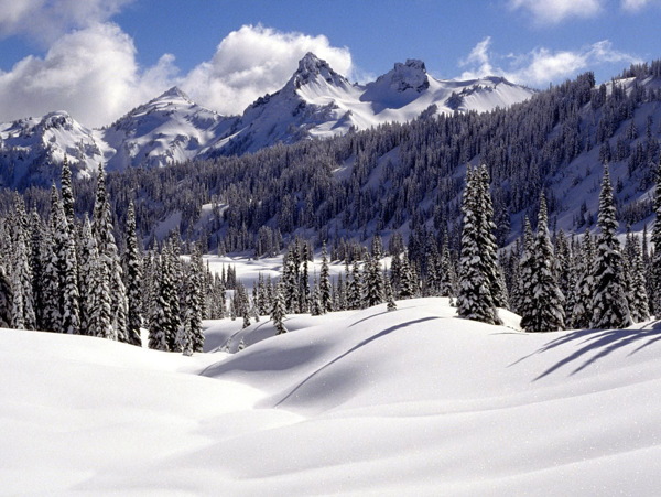 唯美冬日雪景纯白绝美