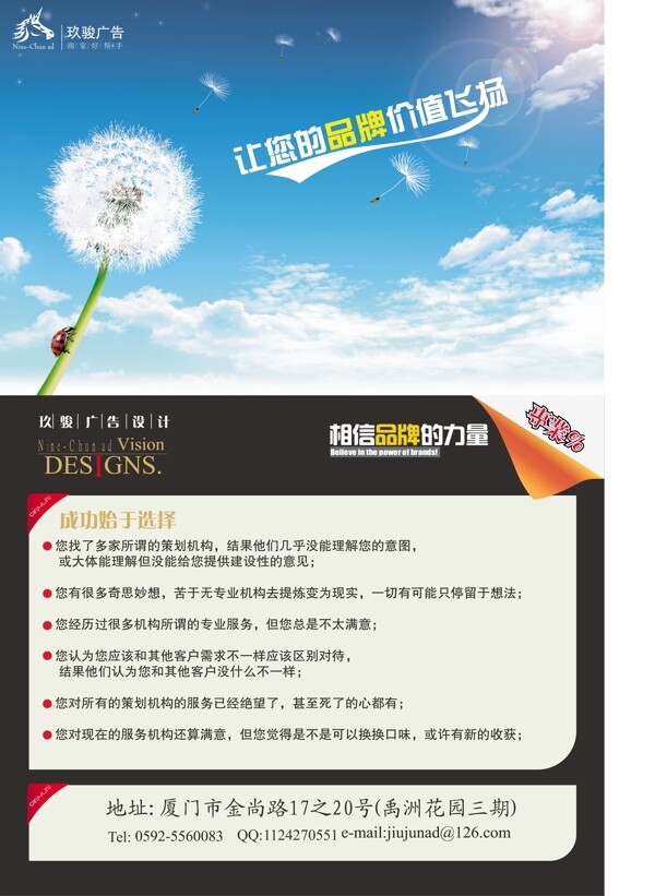 蒲公英圖片